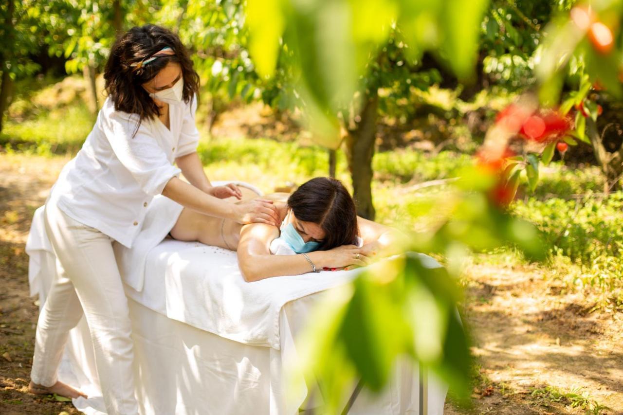 Quinta Dos Padres Santos, Agroturismo & Spa Lamego Buitenkant foto